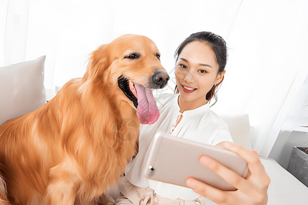 链分析：现状、痛点、需求、趋势开元棋牌试玩宠物食品行业产业(图3)
