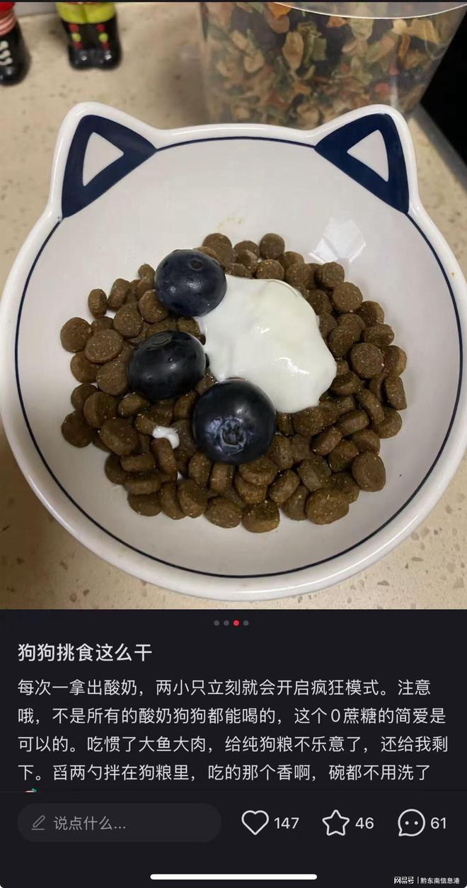 方”撬动萌宠经济与母婴信任双赛道开元棋牌app简爱酸奶以“纯净配