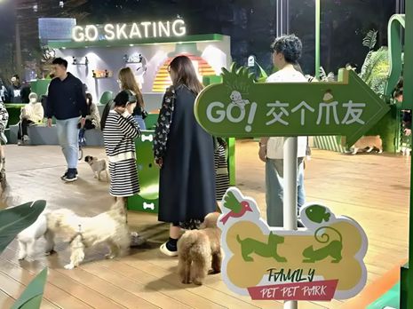丨宠物坐高铁侯毅下厨房开元棋牌实探派特鲜