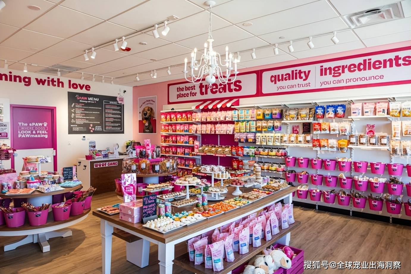 公司要开450家宠物门店开元棋牌年入105亿这家(图4)